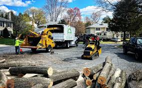Best Tree Mulching  in Santa Venetia, CA